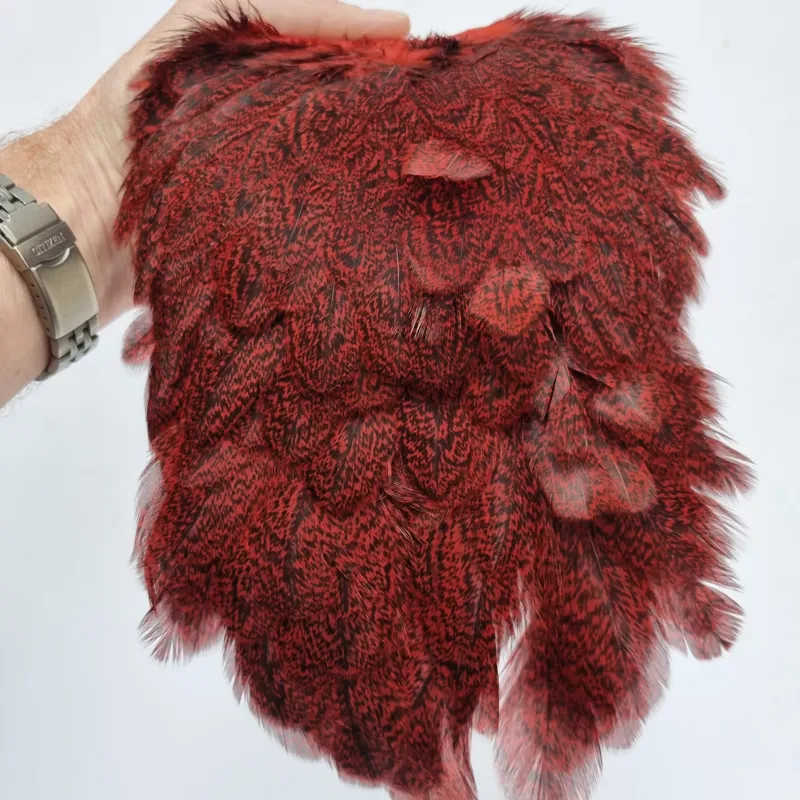 Whiting Coq de Leon Hen Saddle in Speckled Red-4